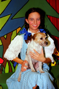 `Dorothee mit Toto