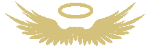 Logo1