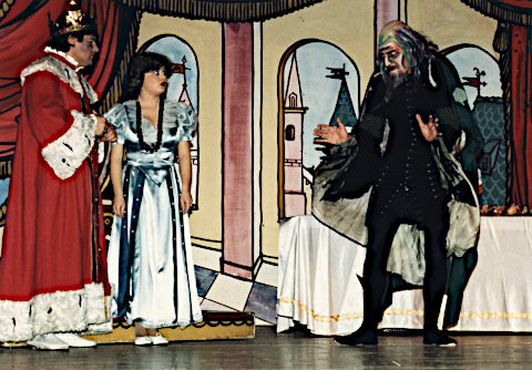 Der Zauberer im Schloss